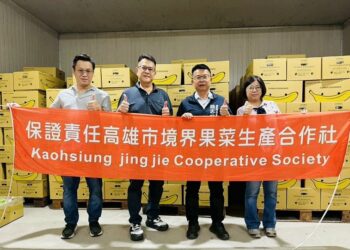 高雄香蕉香氣飄星國 穩定供貨每週出航