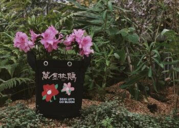秋遊萬金 杜鵑小旅行限量優惠中