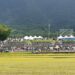 池上秋收藝術節萬人湧入  關山警全力疏導維安