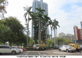 極端氣候下城市「韌性行道樹」的新選擇