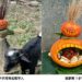 不給糖就搗蛋！ 壽山動物園「搞怪食譜」歡慶萬聖節