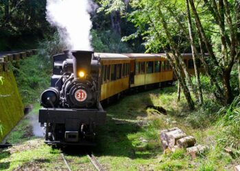 不出門也能享ITF限定優惠 嘉義縣好玩卡「線上旅展」開跑