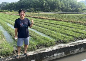 農田水利署高雄處嚴正澄清:灌溉未中斷、農作物未大規模枯死  積極協調確保農民用水權益