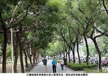 凹子底森林公園綠色隧道美景如畫