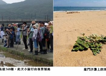 走進候鳥與沙灘植物祕境 田寮洋小旅行開始報名