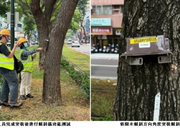 輕軌沿線導入AI智慧路樹監測確保行車安全