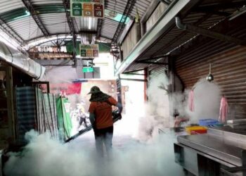 打造市民安心採購環境 嘉義市政府將全面清消溫體豬肉攤位