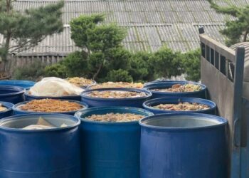 新北再查獲違規餵食廚餘養豬場 重罰206萬並禁上市、取消補助