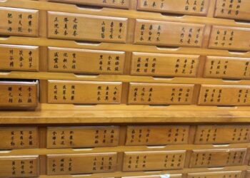 中藥行面臨生存危機 業者憂心消失