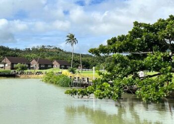 普發+雙11好康優惠來了!小墾丁渡假村推出春節限定「神馬都好」專案 早鳥價超值登場