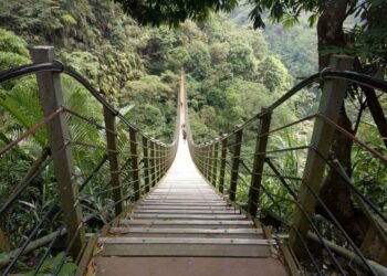 受災復建休園中的南投竹山天梯明年3月重新開放