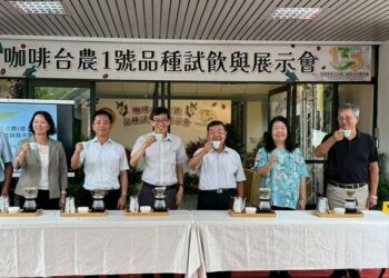 臺灣首個本土咖啡品種「台農1號」誕生 突破中低海拔種植限制