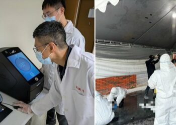 花警快速DNA檢測助光復罹難災民 減輕家屬焦急等待