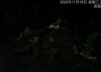 田寮再現疑似外運垃圾堆置 民眾黨促市府儘速查辦不肖業者