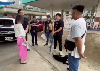 嘉畜所開罰8萬6並提告妨礙公務 婦人長期餵養犬群致社區不安