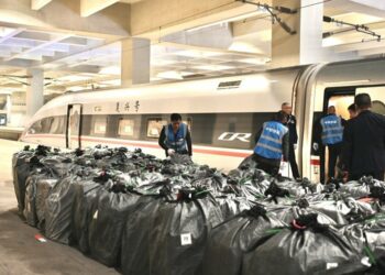 華中—大灣區再添高鐵快運線　武漢至廣州列車啟運