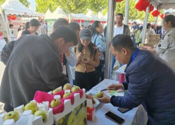 東盟連八年成中國最大農食夥伴  今年前10月進口瓜果破百億美元