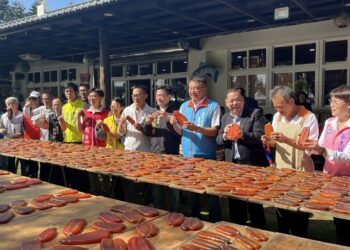 竹縣烏魚節今登場       邀民眾慢行漁村一探食魚教育文化