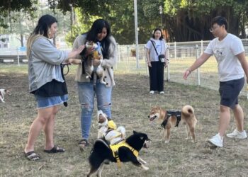 北區寵物友善公園啟用