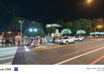 屏女公園路旁 造型榕樹修剪夠美了 竟然還「畫龍點睛」?