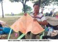 專門在旗津風車公園免費幫人修補風箏的義工：寥運昌