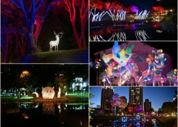 2025東興圳光藝節12/13點燈開幕        展出8組藝術團隊的光藝術裝置