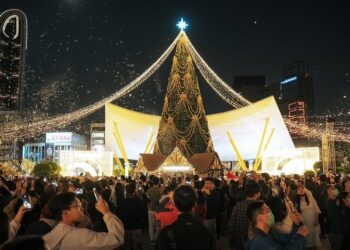 聖誕樹助攻商圈業績！ 「高雄聖誕生活節」帶動新堀江、中央公園商圈湧人潮 業績成長3成