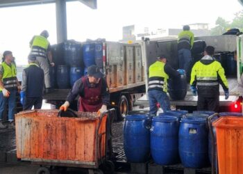 豬農拒收廚餘引發憂心 桃園環保局啟動緊急協助機制 一通電話立即支援 不讓廚餘無處可去