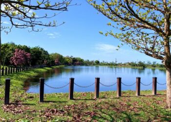 屏東市海豐濕地榮獲114年度中央環境教育評鑑佳績 濕地保育與環境教育推動成果卓著