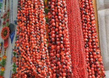 雞母珠串項鍊 在祕魯當作手工藝品