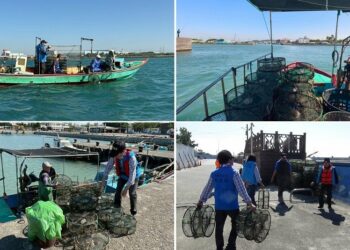 海洋局、海巡署海域聯合巡查  養護水產資源、海洋永續