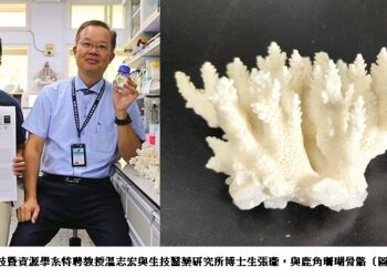 再生醫學救星！ 中山大學發現罕見耐熱珊瑚可做高階骨材