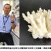 再生醫學救星！ 中山大學發現罕見耐熱珊瑚可做高階骨材