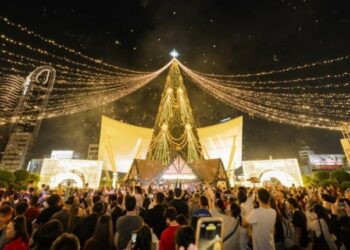 2025高雄聖誕生活節黃金週盛大登場! 落日飛車、Gummy B點燃浪漫高潮 首日破10萬人齊聚中央公園 市府部署三倍警力強化戒備