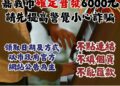 嘉義市加碼普發6000元現金 嘉市警提醒市民防詐