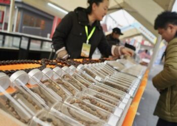 潘家園首屆串文化節登場　盤串成新興解壓風尚