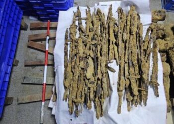 台南清代武器鏽塊出土