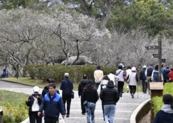2026角板山行館梅花季，邀您漫步行館賞梅去!