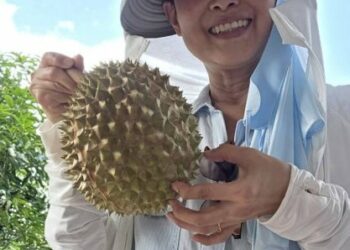 前年新冠防疫期間　馬來西亞一位主婦買２０甲地當農戶　目的不是農作收成