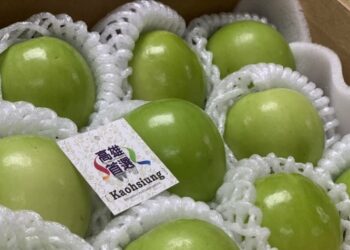 高雄首選蜜棗限量開賣  高雄首選電商平台產地直送