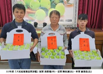 甜蜜上市！大社區蜜棗新鮮登場  品質評鑑為產季行銷暖身