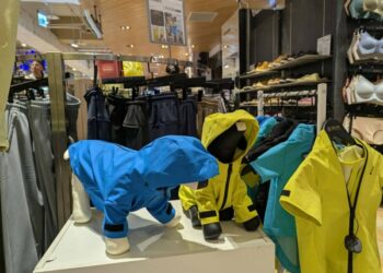 寵物用品  銷路好  不生孩子卻養「毛小孩」