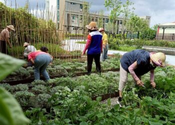 園藝療育落地有成 田尾北曾社區「療育系」公園獲獎