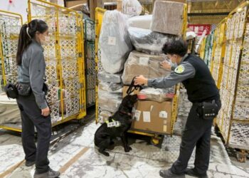 高雄關協同防檢署高雄分署加強查核海運快遞貨物  強化邊境防疫