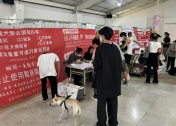 2026高市犬貓絕育雙軌開跑！市民補助即日開始 巡迴活動首場2/8前進阿蓮
