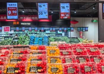 「雞蛋不敵番茄」  大陸番茄價格飆升引關注