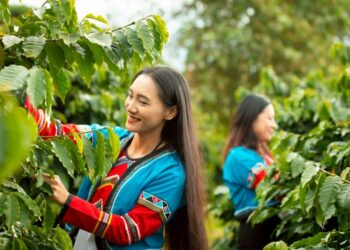 2026開年最具話題性的光影力作「嘉義・乘光而行」點閱破百萬