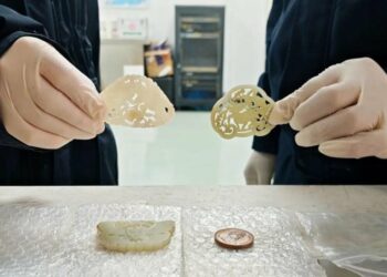 清代文物企圖闖關出境  大陸海關依法查扣並示警