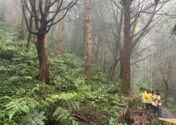 走入東眼山「森」呼吸！      新竹分署推戶外教學車資補助 2/24起開放申請