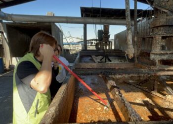 屏東長治再查獲廚餘餵豬違規案